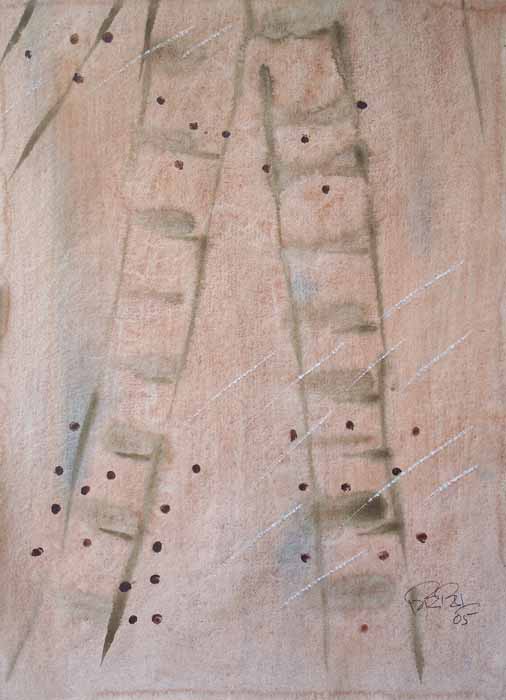 khadakwasla backwater 